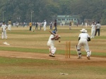 cricket en el parque
