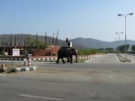 elefante en Jaipur