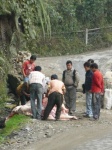 carniceros en faena