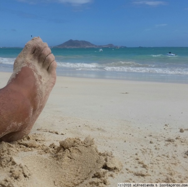 Relax en Hawai
Viendo la vida pasar en una de las fabulosas playas hawaianas
