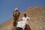 camello, pirámide