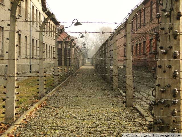 Forum of AUSCHWITZ: Verja de seguridad electrificada