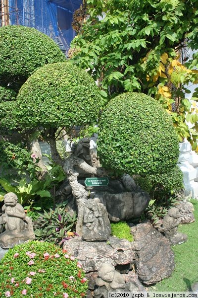 Bonsais
En el Wat Phra Kaew hay un pequeño jardín de bonsais, en este jardín se ha tomado esta instantánea
