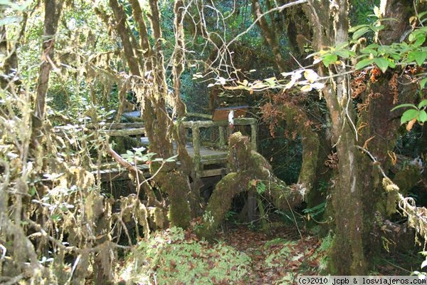 Humedales en Doi Inthanon
En el Parque Natural de Doi Inthanon se encuentra la cima más alta de Tailandia a 2.565 metros de altura, a esta misma altura se pueden encontrar unos humedales espectaculares que reflejan el tipo de clima que hay en tailandia
