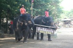 Bienvenida de los elefantes
Bienvenida, Esta, Chiang, elefantes, bienvenida, tribu, momento, nuestra, llegada
