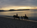 Paseos a caballo