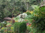 Jardín de la tribu Hmong
Jardín, Hmong, Esta, Chiang, tribu, panorámica, jardíng, cerca, donde, pueden, admirar, mucha, diversidad, flores