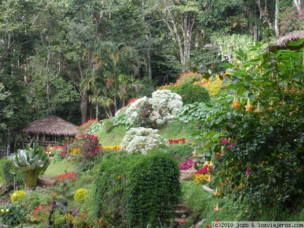 Jardín de la tribu Hmong
Esta es una panorámica del jardíng de la tribu Hmong, cerca de Chiang Mai, donde se pueden admirar mucha diversidad de flores
