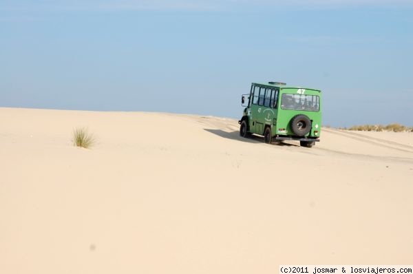 Forum of Doñana: Duna en Doñana