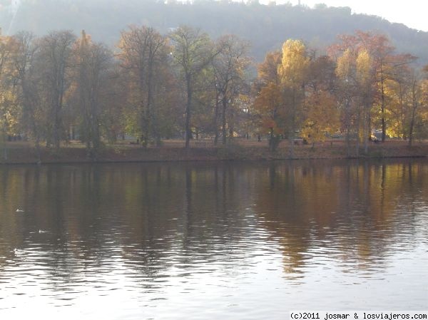 Žofínský Prales, Reserva Natural en la República Checa