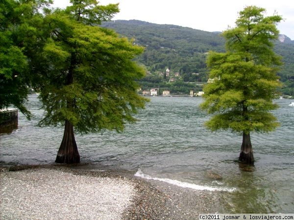 Forum of Lagos De Italia: Árboles. Lago Magiore.Italia