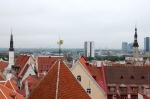 Tallinn from Kohtuotsa