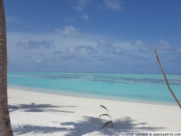 Playa Riu Atoll
Zona más recomendada para hacer snorkel. Es la zona del final del hotel Riu Atoll.
