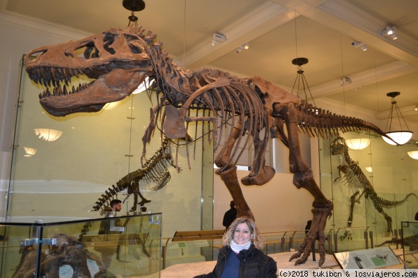 Yo con el Rex
American Museum of Natural History

