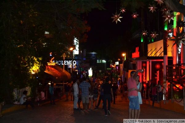 Playa del Carmen noche
Playa del Carmen noche
