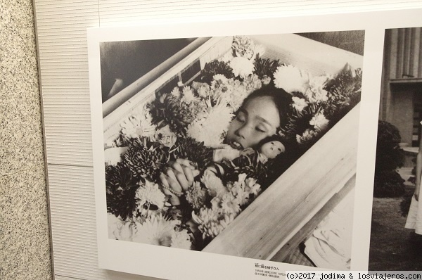 SADAKO SASAKI
La niña que murió antes de terminar las grullas de papel.
