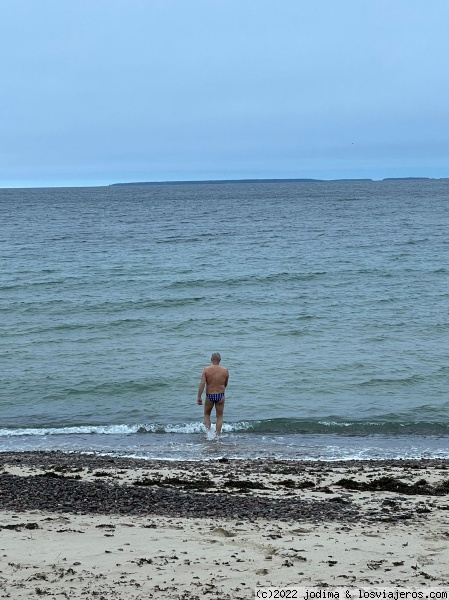 Baño en invierno en la playa de Tallin
Hay que ser muy valiente (o estar muy loco) para meterse en el agua a unos 2-3 grados de temperatura.
