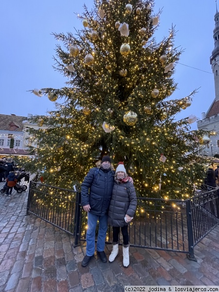 El árbol de Navidad de la RAEKOJA PLATS
En esta plaza hace más de 500 años que por las navidades se coloca un árbol en el centro de la misma.
Tallin es la ciudad donde hace más años se lleva a cabo esta costumbre.
