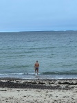 Baño en invierno en la playa de Tallin
Baño, Tallin, invierno, playa, valiente, estar, loco, para, meterse, agua, unos, grados, temperatura