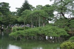 JARDÍN DE KENROKU-EN