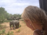 Elefante desde jeep Yala National Park