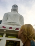 Kandy Buda