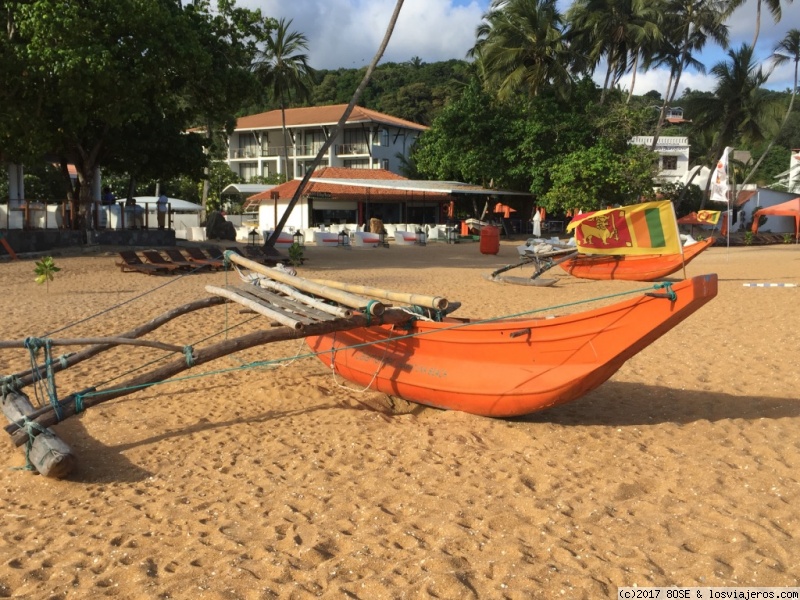 Mochilera sola por Sri Lanka / 15 días - Blogs de Sri Lanka - Día 13: TISSA-MATARA-UNAWATUNA (1)