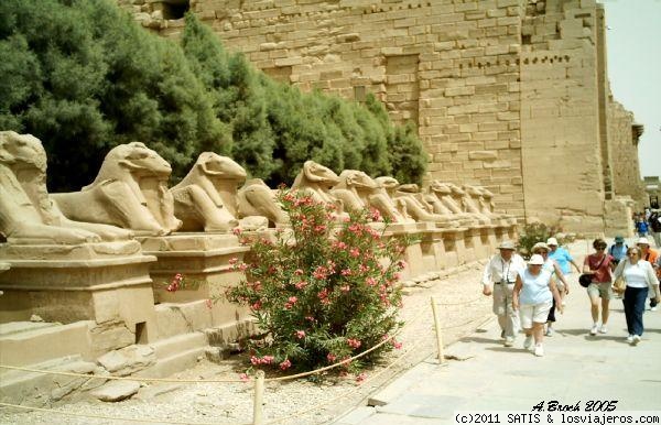 Avenida de Esfinges
Esta avenida unía por una calzada los templos de Luxor y Karnak.
