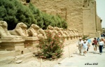 Avenida de Esfinges
Templo de Luxor.