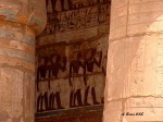 Pinturas
Templo de Medinet Habu