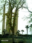 Monumento
Gran Peesa de Assuan