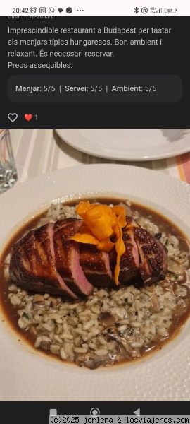 Plato número 30 _ Menza
Plato
