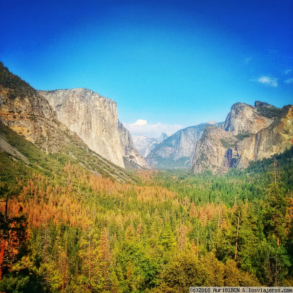 Yosemite Valley
vista desde Tunnel View

