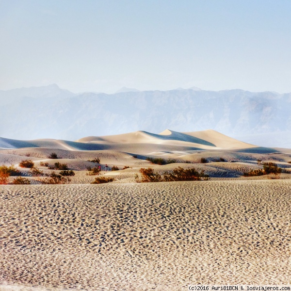 Flat Sand Dunes
dunas del desierto de Death Valley, California
