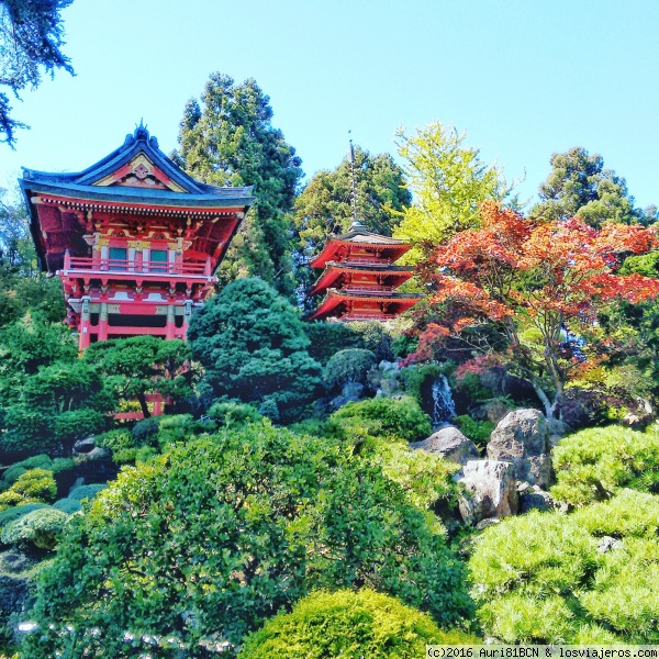 Jardín japonés en San Francisco
Japanese Garden, en Golden Gate park
