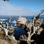 Point Lobos
point lobos, carmel, california, eeuu