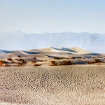 Flat Sand Dunes