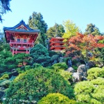 Jardín japonés en San Francisco