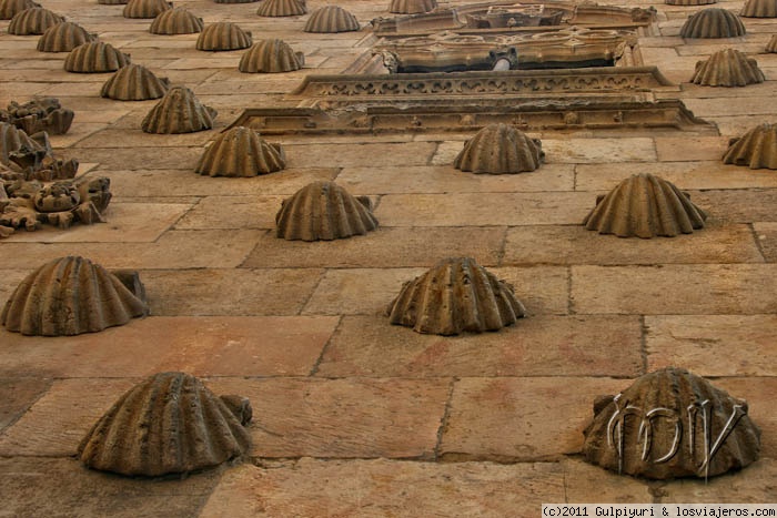 Foro de Alojamiento En Salamanca: Detalle de la Casa de las Conchas