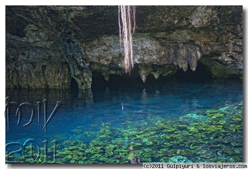 Gran cenote bis
Cerca de Tulum
