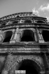 Coliseo romano