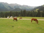 Valle Jeti Oghuz
Kirguistan