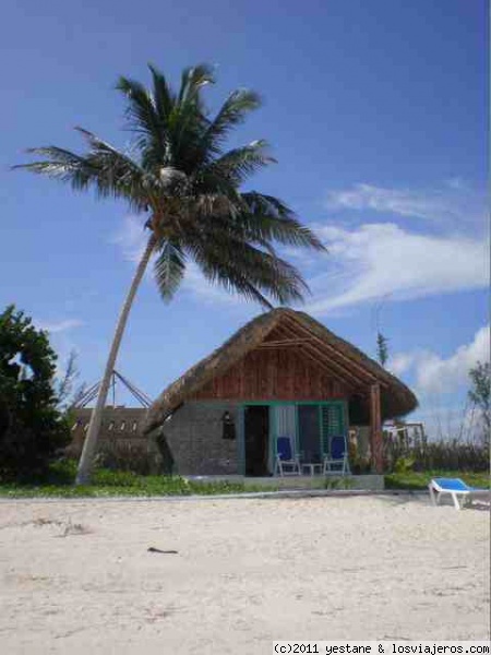 Cabaña en cayo levisa
Esta era una de las 20 cabañas que hay en cayo levisa, a pie de playa, es el unico sitio donde se puede dormir en la isla. Por dentro sin sofisticaciones pero confortable, el sitio donde esta hace que sea lujo.
