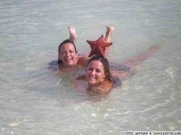 estrella de mar en levisa
aqui estamos bañansdonos en cayo levisa, en la misma orilla podias encontrar un monton de estrellas de mar...
