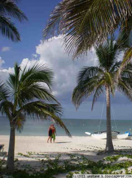 playa de cayo levisa
Paseando por la playa de cayo levisa, arena blanca y fina, entre palmeras...
