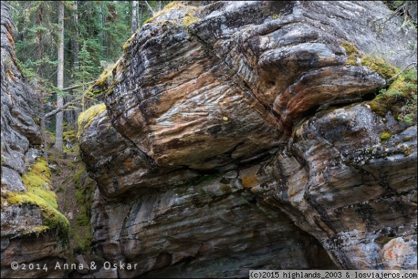 Petroglifo en Athabasca Falls, Jasper National Park, Alberta (Canadá)
Petroglifo en Athabasca Falls, Jasper National Park, Alberta (Canadá)
