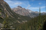 Mt. Edith Cavell & Angel Glacier, Jasper National Park, Alberta (Canadá)