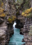 Athabasca Falls, Jasper National Park, Alberta (Canadá)
Athabasca Falls Jasper National Park Alberta Canadá