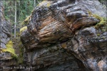 Petroglifo en Athabasca Falls, Jasper National Park, Alberta (Canadá)