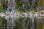 Extraños reflejos - Edna Lake - Jasper National Park, Alberta (Canadá)